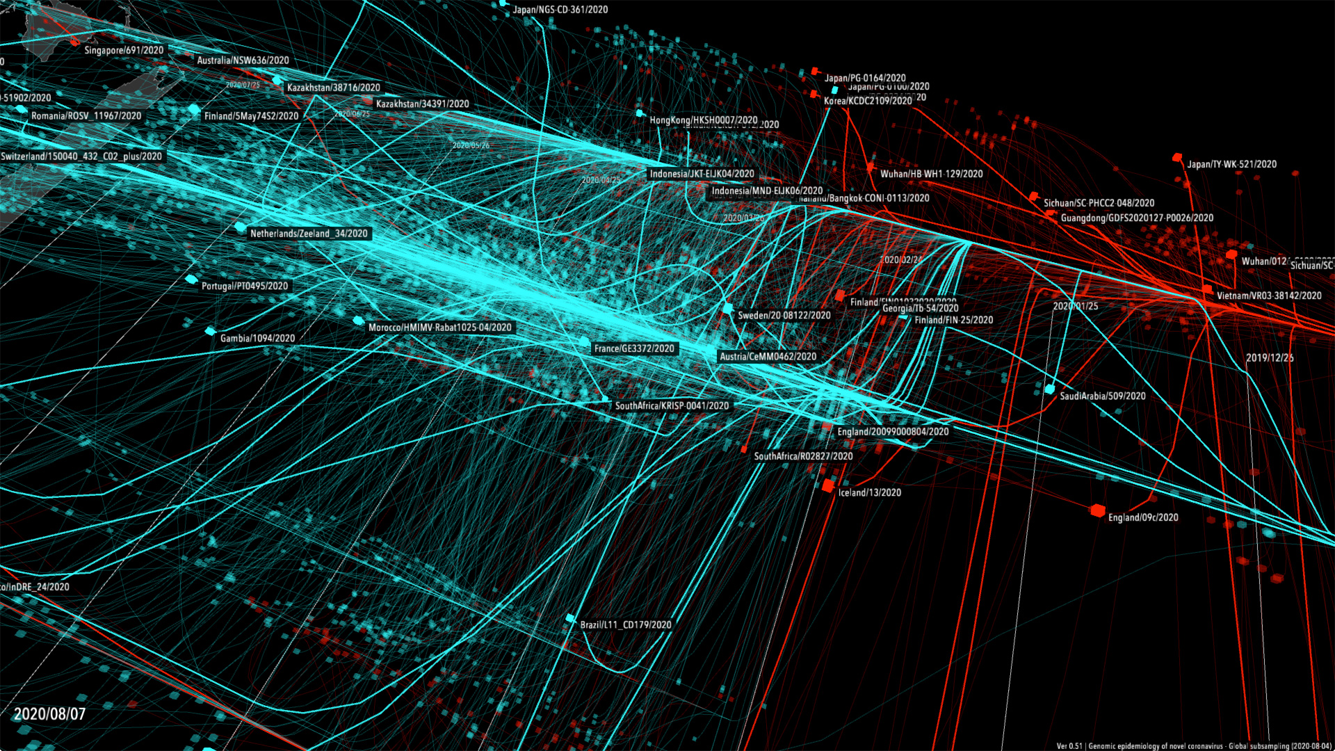 新型コロナウイルス可視化詳細